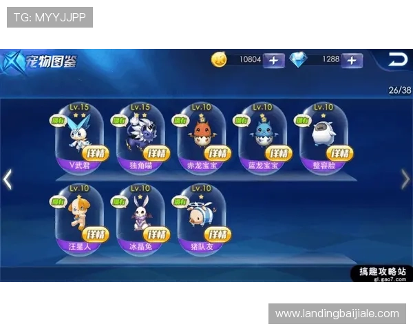 掌握k8凯发会员登录技巧确保账号安全与快速进入游戏界面